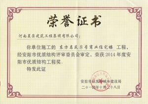 2014東方名苑8#樓優質結構